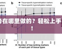 CF新手任務在哪里做的？輕松上手，快速成長！