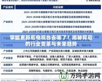 掌盟更新后電視臺去哪了？揭秘背后的行業變革與未來趨勢
