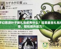 夢幻西游葉子豬禮包都有什么？探索最全禮包內(nèi)容，輕松提升戰(zhàn)力！