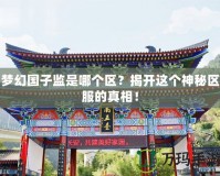 夢幻國子監是哪個區？揭開這個神秘區服的真相！