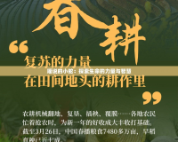 瑤說(shuō)的小蛇：探索生命的力量與智慧