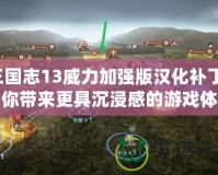 三國志13威力加強版漢化補丁：為你帶來更具沉浸感的游戲體驗！