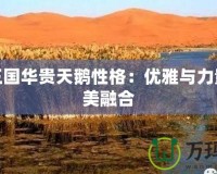 洛克王國華貴天鵝性格：優雅與力量的完美融合