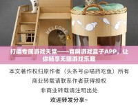 打造專屬游戲天堂——官網游戲盒子APP，讓你暢享無限游戲樂趣