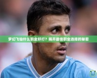 夢幻飛仙什么職業好打？揭開最佳職業選擇的秘密