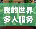 我的世界多人服務器地址在哪？帶你暢游《我的世界》的奇妙世界
