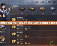 端游穿越火線盒子叫什么來著？游戲玩家必備的神秘工具大揭秘！