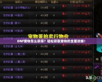 DNF寵物怎么獲得？輕松獲取寵物的全面攻略！