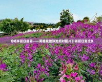《暢享夏日盛宴——英雄聯盟泳池派對圖片引領夏日潮流》