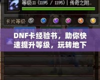 DNF卡經驗書，助你快速提升等級，玩轉地下城！