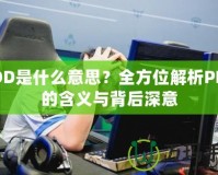 PDD是什么意思？全方位解析PDD的含義與背后深意