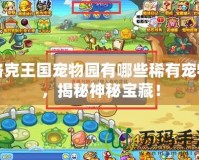 洛克王國寵物園有哪些稀有寵物，揭秘神秘寶藏！