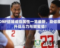 DNF結(jié)婚戒指屬性一覽最新，助你提升戰(zhàn)斗力與甜蜜值！