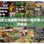 夢幻多少級跑商才劃算？揭開商人致富的秘訣