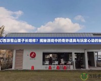 夢幻西游雪山栗子長啥樣？揭秘游戲中的奇妙道具與玩家心動的秘密
