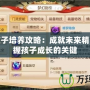 夢幻孩子培養攻略：成就未來精英，掌握孩子成長的關鍵
