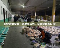 DNF封裝寵物：激發戰斗力，玩轉寵物新玩法！