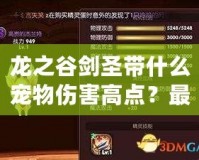 龍之谷劍圣帶什么寵物傷害高點(diǎn)？最強(qiáng)寵物搭配推薦