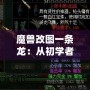 魔獸改圖一條龍：從初學(xué)者到高手，打造專(zhuān)屬于你的魔獸世界