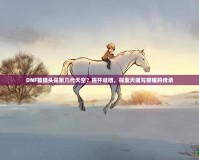 DNF狐貍頭是第幾代天空？揭開謎團，探索天賦與榮耀的傳承