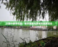 三國小鎮手機版：暢享策略與養成的完美結合