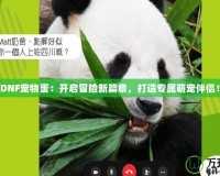 《DNF寵物蛋：開啟冒險新篇章，打造專屬萌寵伴侶！》