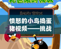 憤怒的小鳥(niǎo)搗蛋豬視頻——挑戰(zhàn)與樂(lè)趣的完美結(jié)合