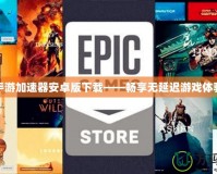 手游加速器安卓版下載——暢享無延遲游戲體驗