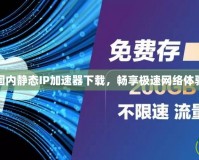 國內靜態IP加速器下載，暢享極速網絡體驗