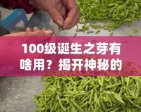 100級誕生之芽有啥用？揭開神秘的面紗，探索無限可能！