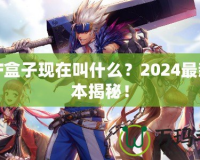 DNF盒子現在叫什么？2024最新版本揭秘！