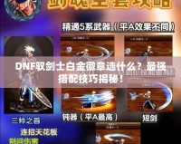 DNF馭劍士白金徽章選什么？最強搭配技巧揭秘！