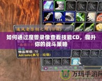 如何通過魔獸錄像查看技能CD，提升你的戰斗策略