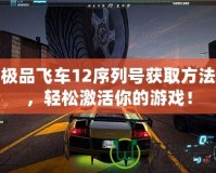極品飛車12序列號獲取方法，輕松激活你的游戲！