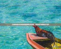 口袋妖怪珍珠全精靈捕捉地點詳解：助你成為捕精靈大師！