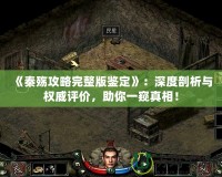 《秦殤攻略完整版鑒定》：深度剖析與權(quán)威評價，助你一窺真相！