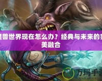 魔獸世界現在怎么辦？經典與未來的完美融合