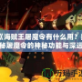 《海賊王屠魔令有什么用？揭秘屠魔令的神秘功能與深遠(yuǎn)意義》
