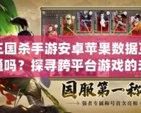 三國(guó)殺手游安卓蘋果數(shù)據(jù)互通嗎？探尋跨平臺(tái)游戲的未來之路