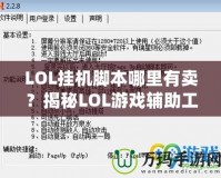 LOL掛機(jī)腳本哪里有賣？揭秘LOL游戲輔助工具的市場(chǎng)與選擇
