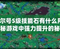 賽爾號S級技能石有什么用？揭秘游戲中強力提升的秘密武器！