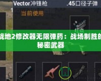 戰(zhàn)地2修改器無(wú)限彈藥：戰(zhàn)場(chǎng)制勝的秘密武器