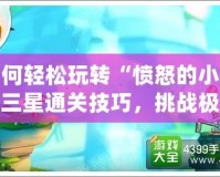 如何輕松玩轉“憤怒的小鳥”三星通關技巧，挑戰極限樂趣