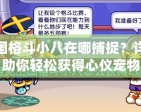 洛克王國格斗小八在哪捕捉？詳細攻略助你輕松獲得心儀寵物