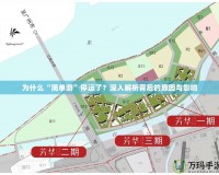 為什么“簡單游”停運(yùn)了？深入解析背后的原因與影響