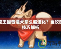 洛克王國音速犬怎么超進化？全攻略與技巧解析