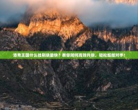 洛克王國什么掛刷級最快？教你如何高效升級，輕松超越對手！