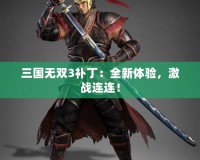 三國無雙3補丁：全新體驗，激戰連連！