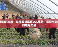 草莓lol資料：深度解析草莓LOL戰隊，探索電競圈的璀璨之星