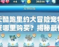 天天酷跑里約大冒險(xiǎn)寵物可以在哪里購(gòu)買？揭秘最佳購(gòu)買途徑與技巧！
